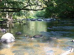 Krąpiel (river) httpsuploadwikimediaorgwikipediacommonsthu
