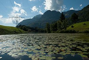 Krummsee (Bezirk Kufstein) httpsuploadwikimediaorgwikipediacommonsthu