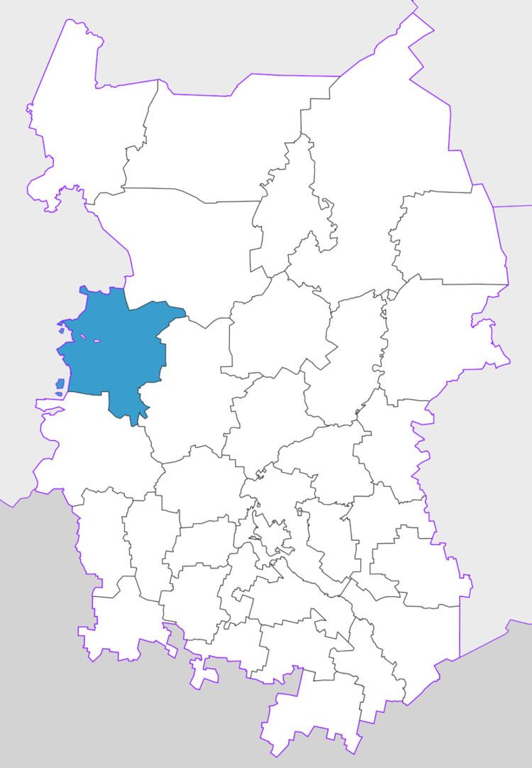 Krutinsky District
