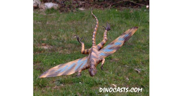 Kuehneosaurus DinoCastscom Kuehneosaurus Fleshed out model reconstruction