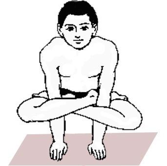 Kukkutasana wwwsarvyogacomwpcontentuploads201608Kukkut