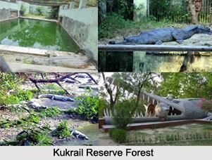 Kukrail Reserve Forest Reserve Forest Lucknow