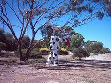 Kulin, Western Australia httpsuploadwikimediaorgwikipediacommonsthu