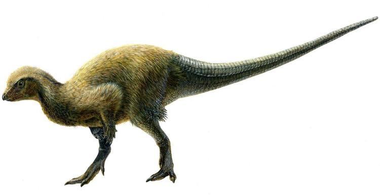 Kulindadromeus Fossils Found in Siberia Suggest All Dinosaurs Had Feathers Royal