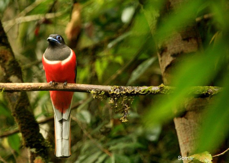 Kumana National Park Kumana National Park Arugam Bay Tourism