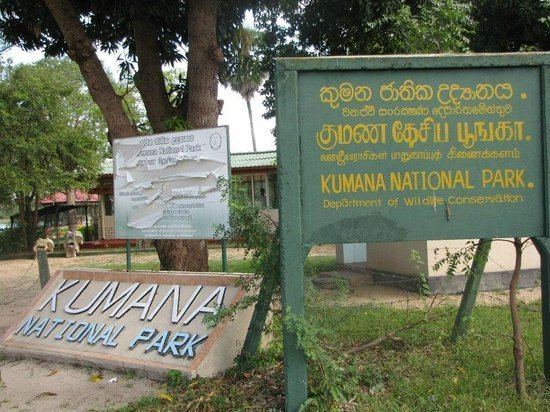 Kumana National Park Kumana National Park Ampara Sri Lanka Top Tips Before You Go