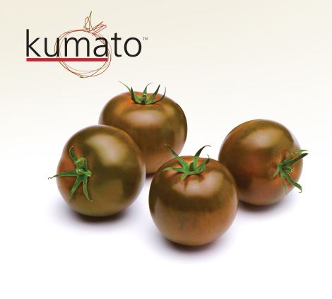 Kumato Kumato Tomato New Brown Tomato Variety