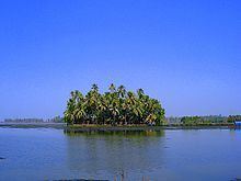 Kumbalangi httpsuploadwikimediaorgwikipediacommonsthu