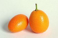 Kumquat httpsuploadwikimediaorgwikipediacommonsthu