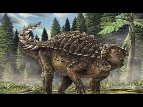 Kunbarrasaurus New dinosaur named 39Kunbarrasaurus39 discovered YouTube