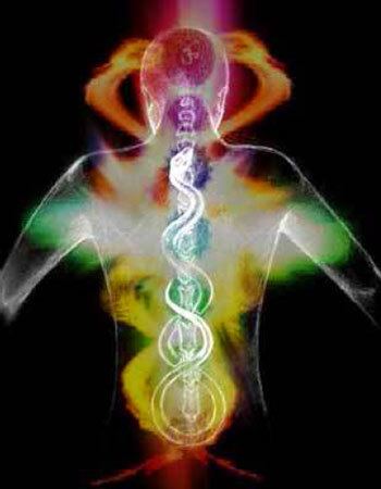 Kundalini Kundalini amp The Cerebrospinal Fluid CSF YOUR POWER YOUR TRUTH