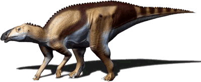 Kundurosaurus wwwdinocheckercomgalleryimgkundurosauruspng