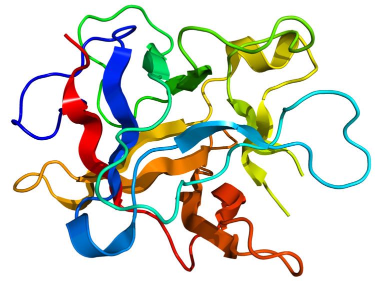 Kunitz STI protease inhibitor