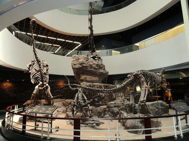Kunming Natural History Museum of Zoology