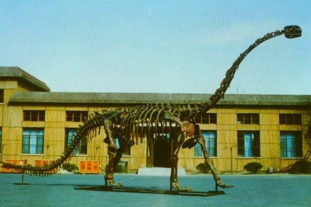 Kunmingosaurus Kunmingosaurus Pictures amp Facts The Dinosaur Database