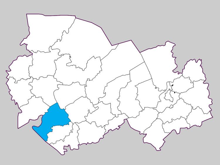 Kupinsky District