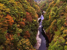 Kurikoma Quasi-National Park httpsuploadwikimediaorgwikipediacommonsthu