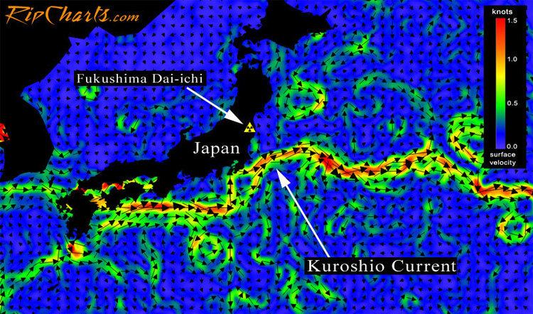 Kuroshio Current Kuroshio Current wwwifishnet