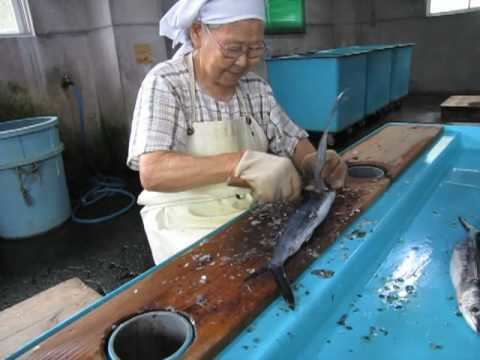 Kusaya Japan39s most crazy food Rotten Fish salteddried Kusaya from