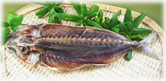 Kusaya Japan It39s A Wonderful Rife Kusaya Stinky Japanese Fish