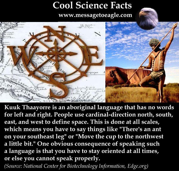 Kuuk Thaayorre language Kuuk Thaayorre Language Uses CardinalDirection To Define Space