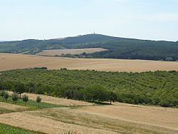 Kyjov Hills httpsuploadwikimediaorgwikipediacommonsthu