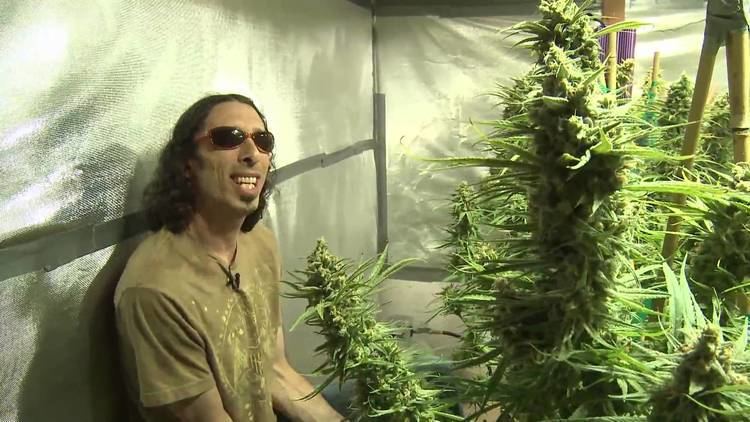 Kyle Kushman Kyle Kushman amp Shiloh Massive Veganic Cannabis Cultivation Trailer