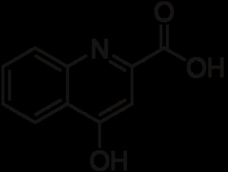 Kynurenic acid httpsuploadwikimediaorgwikipediacommonsthu