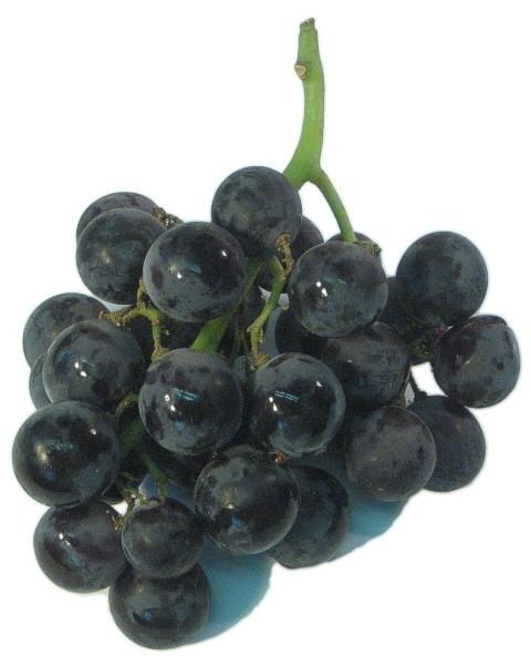 Kyoho (grape) The Produce Guide Kyoho Grape