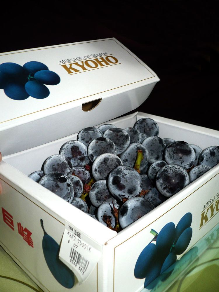 Kyoho (grape) Kyoho grape Wikipedia