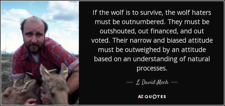 L. David Mech TOP 5 QUOTES BY L DAVID MECH AZ Quotes