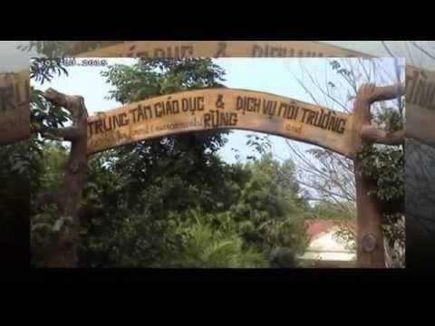 Lò Gò-Xa Mát National Park Tham quan Vn Quc Gia L G XA MT part 01 YouTube