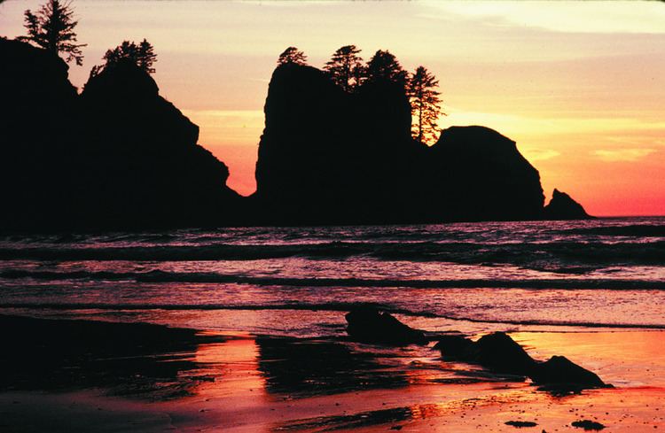 La Push Beach - Alchetron, The Free Social Encyclopedia