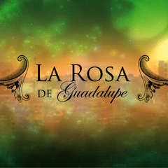 La rosa de Guadalupe s1dmcdnnetJdTI8240x240w9Ipng