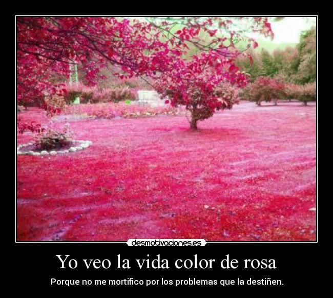 La Vida color de rosa Yo veo la vida color de rosa Desmotivaciones