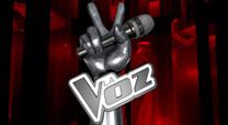 La Voz (Spanish TV series) httpsuploadwikimediaorgwikipediaen447La