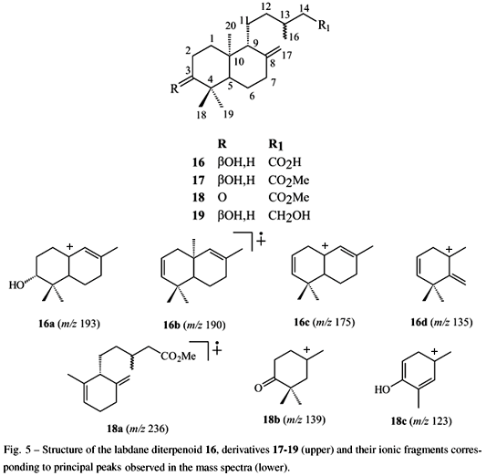 Labdane Chemical constituents from Vellozia graminifolia Velloziaceae