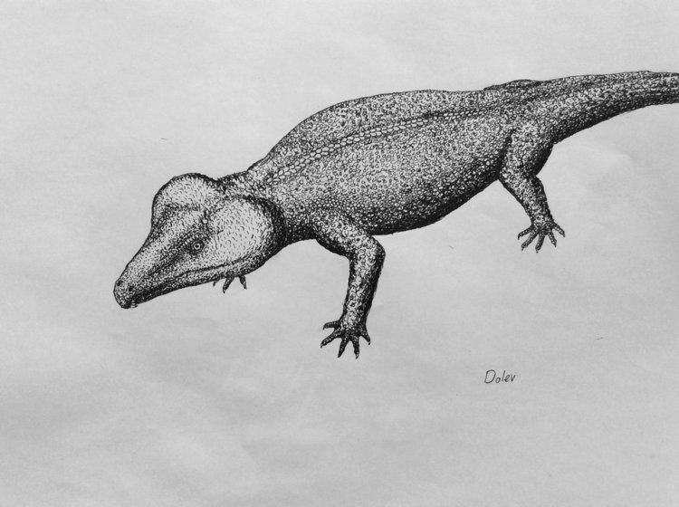 Labidosaurus Labidosaurus by dolevfab on DeviantArt