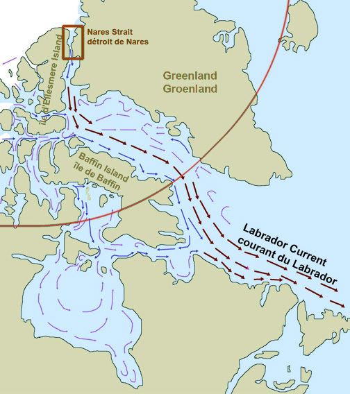 A map showing the flow of the Labrador Current along Greenland and Baffin Island.