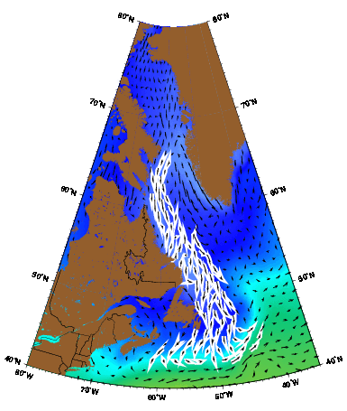 A diagram showing the Continental Shelf Break featuring the Labrador Current.