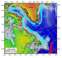A colored map showing the flow of the Labrador Current along Greenland, Baffin Island, Labrador, and Newfoundland.