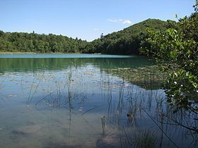 Lac d'Ambléon httpsuploadwikimediaorgwikipediacommonsthu
