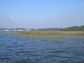 Lac de Biscarrosse et de Parentis httpsuploadwikimediaorgwikipediacommonsthu