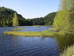 Lac de Lispach httpsuploadwikimediaorgwikipediacommonsthu