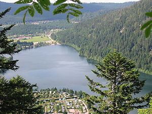 Lac de Longemer httpsuploadwikimediaorgwikipediacommonsthu