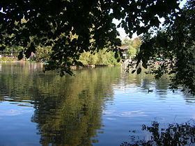 Lac de Sauvabelin httpsuploadwikimediaorgwikipediacommonsthu