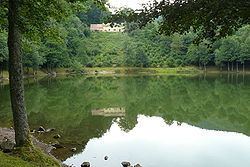 Lac du Lachtelweiher httpsuploadwikimediaorgwikipediacommonsthu