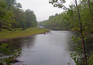 Lackawaxen River httpsuploadwikimediaorgwikipediacommonsthu
