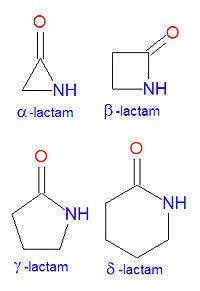 Lactam encitizendiumorgimagesthumb77fLactamsjpg2