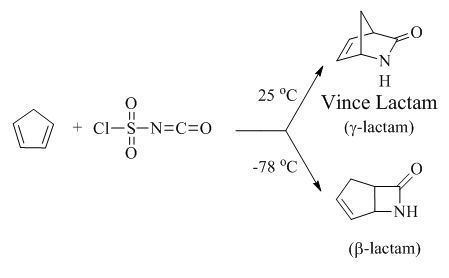 Lactam Lactam Wikipedia